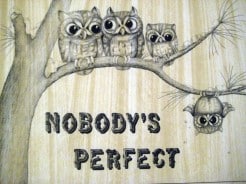 Read more about the article Unacceptable platitude #2: “Nobody’s perfect.”