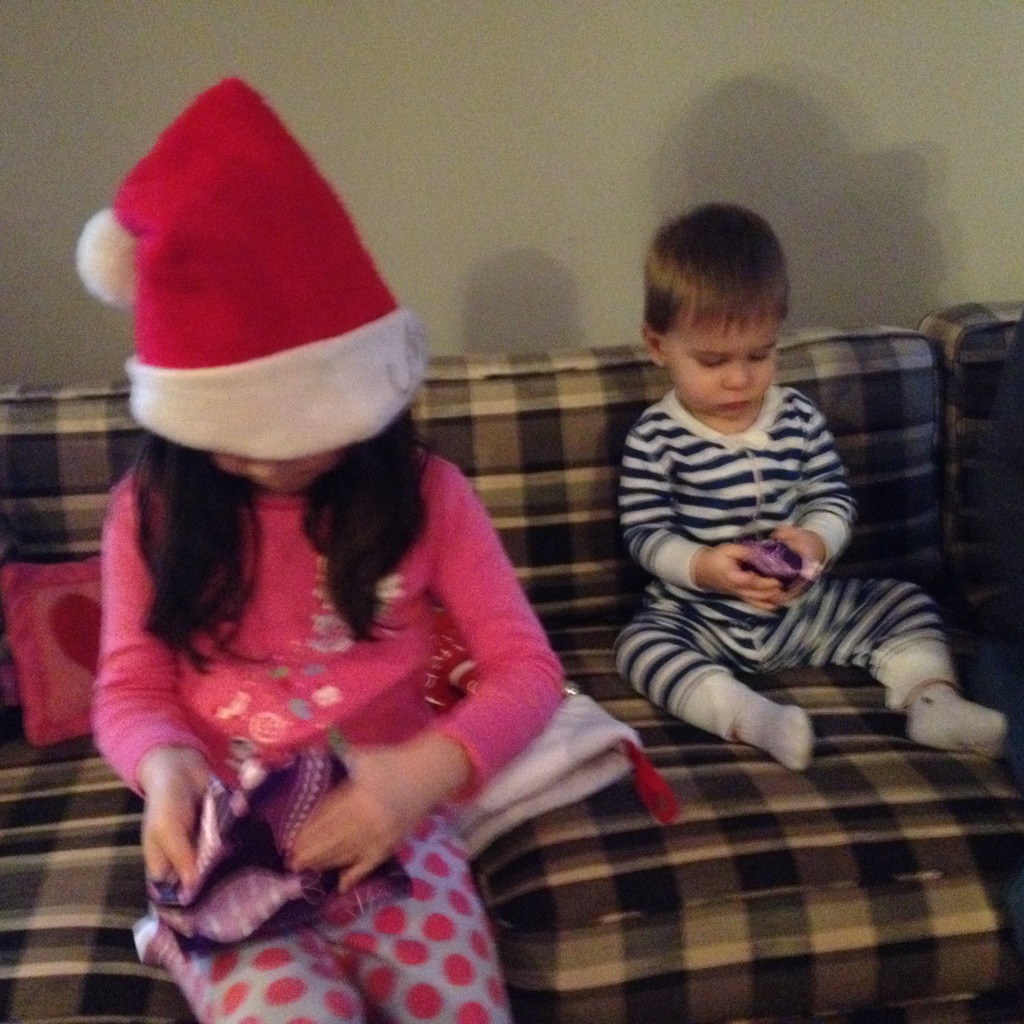 Read more about the article Clara’s infamous Christmas Day poop