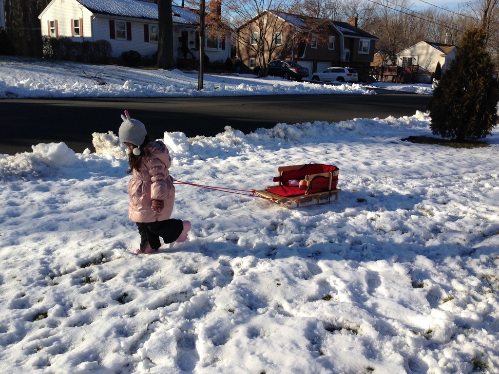 Read more about the article First snowman