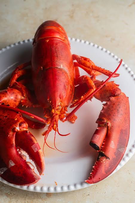 Read more about the article Don’t eat the poor lobster.