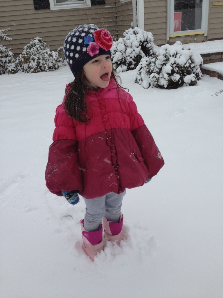 Read more about the article The essence of New England weather