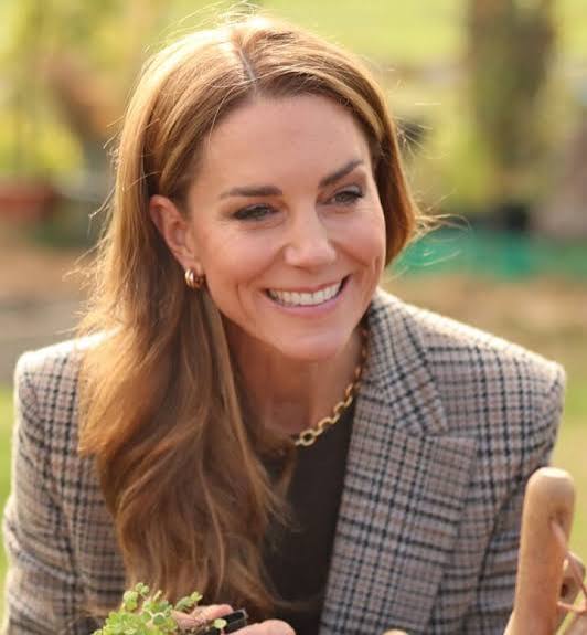 Read more about the article Do you want Kate Middleton’s nose?