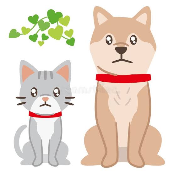 Read more about the article Bad news for cats and dogs and goldfish everywhere