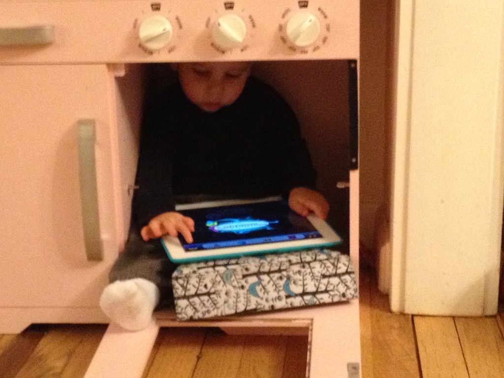 Read more about the article iPad in an oven