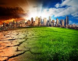 Read more about the article A silver lining to rapidly increasing climate change
