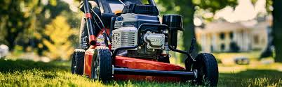 Read more about the article Future laborer, I hope.