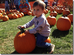 Read more about the article Boy learns the alphabet on his own. Father takes credit.