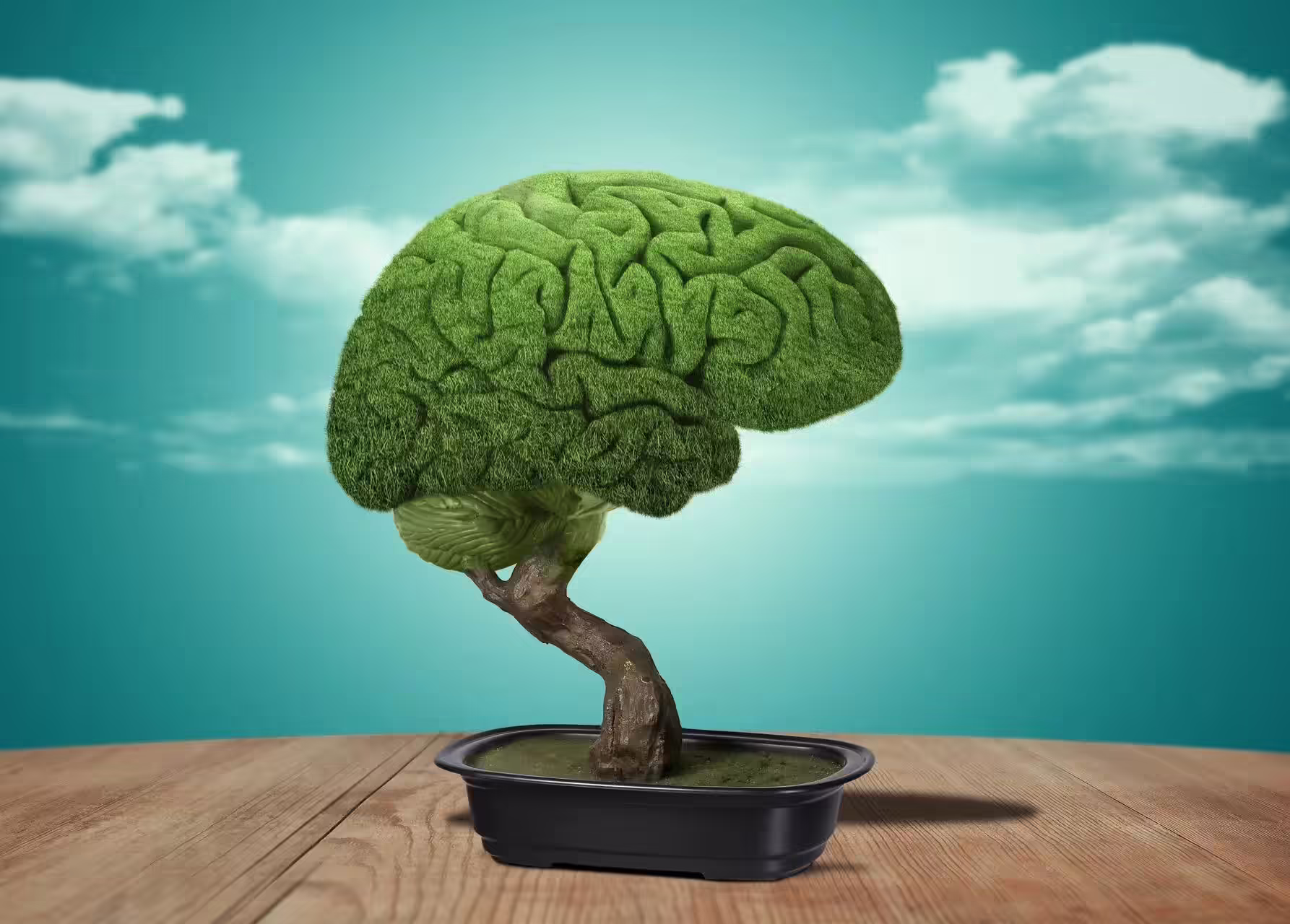 Read more about the article Plants are smarter than we ever imagined. Eating them is no less cruel than eating a cow. And cows taste better.