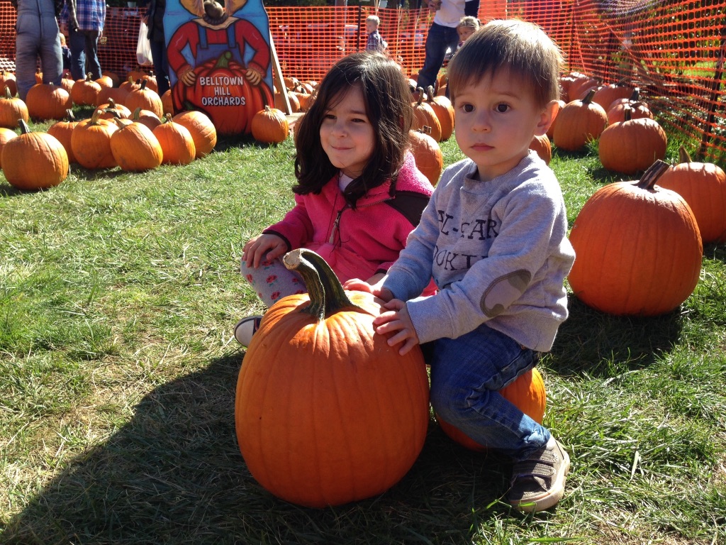 Read more about the article My Daddy gnaws on raw pumpkin.