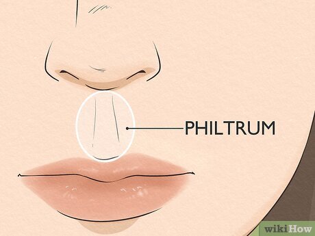 Read more about the article The tragedy of the philtrum: Join me in elevating it to its proper status in the American lexicon.