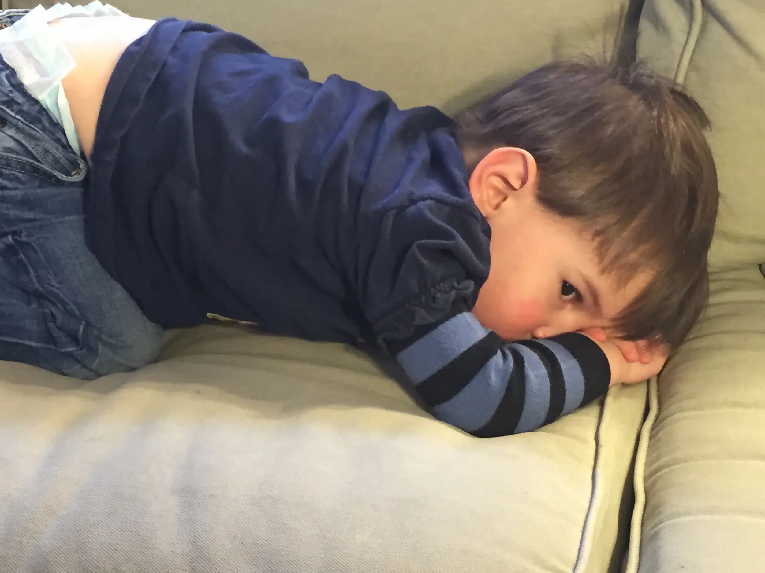 Read more about the article Thought he was sick. Turns out he only wanted some attention.