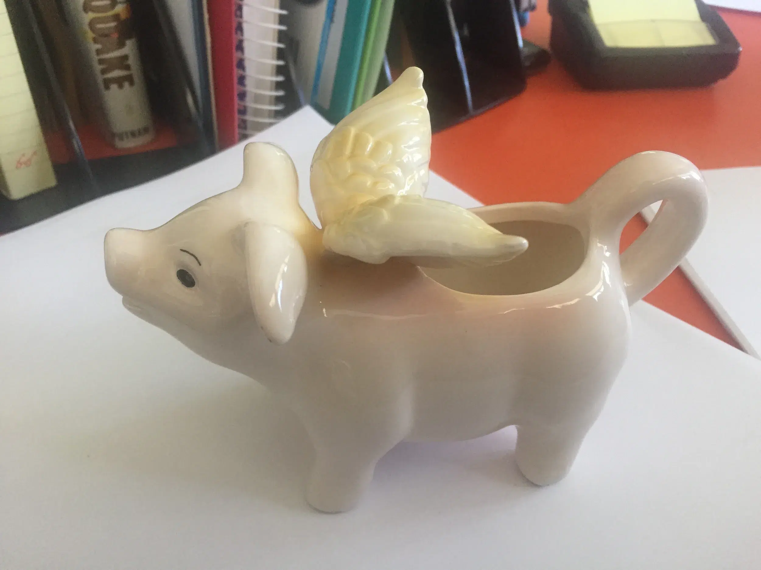 Read more about the article Memoirs of an Imaginary Friend fans: Look what Mrs. Gosk gave me!