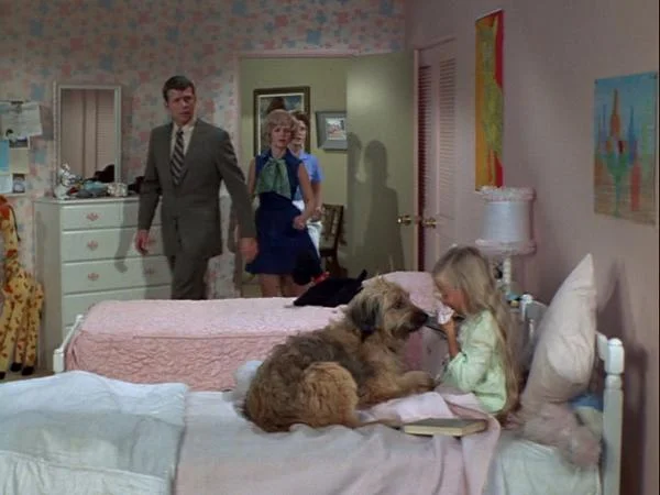 Read more about the article The dark, incestuous side of The Brady Bunch, including dog collars and nails