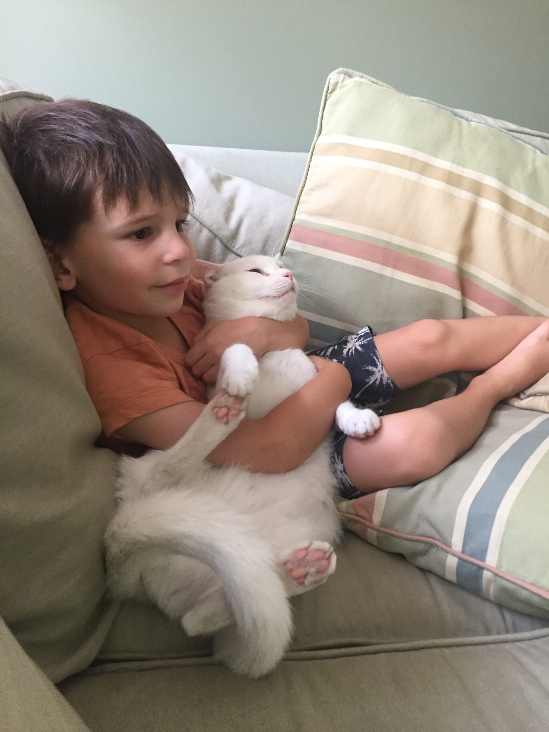 Read more about the article Brace yourself for the cutest thing EVER (not one bit of hyperbole)