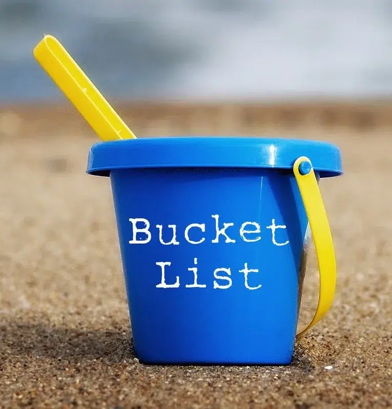 Read more about the article Clara’s Mid-Summer Bucket List