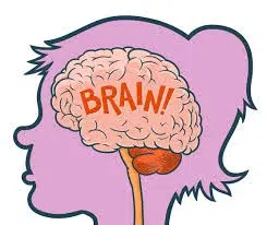 Read more about the article How the brain got its name