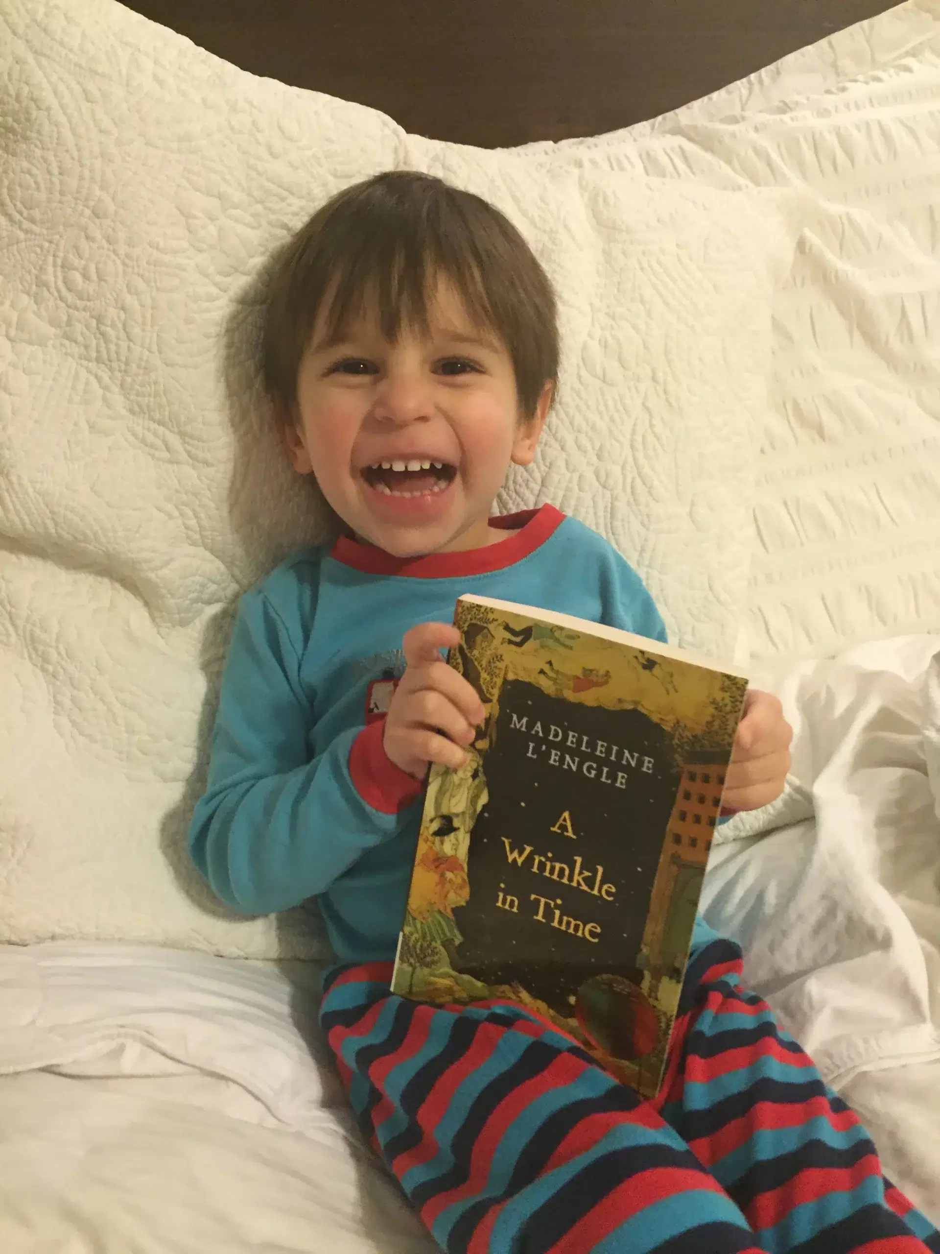 Read more about the article The many faces of a little reader