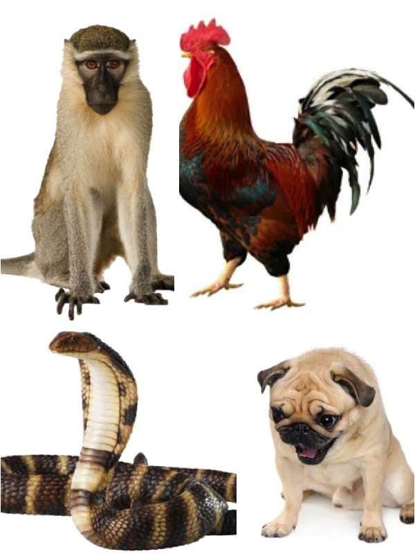 Read more about the article Roman creativity when it came to punishing those who murdered their fathers astounds me.