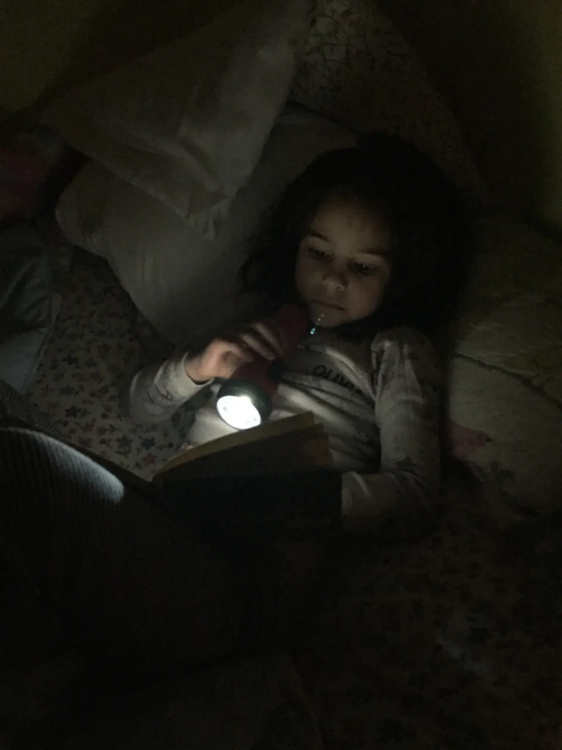 Read more about the article Clara’s best bad behavior