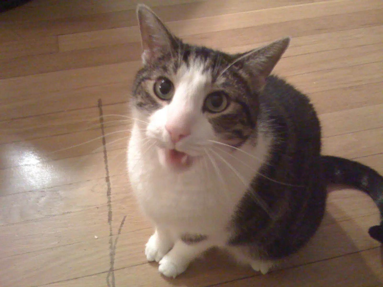 Read more about the article Owen: 2000-2016