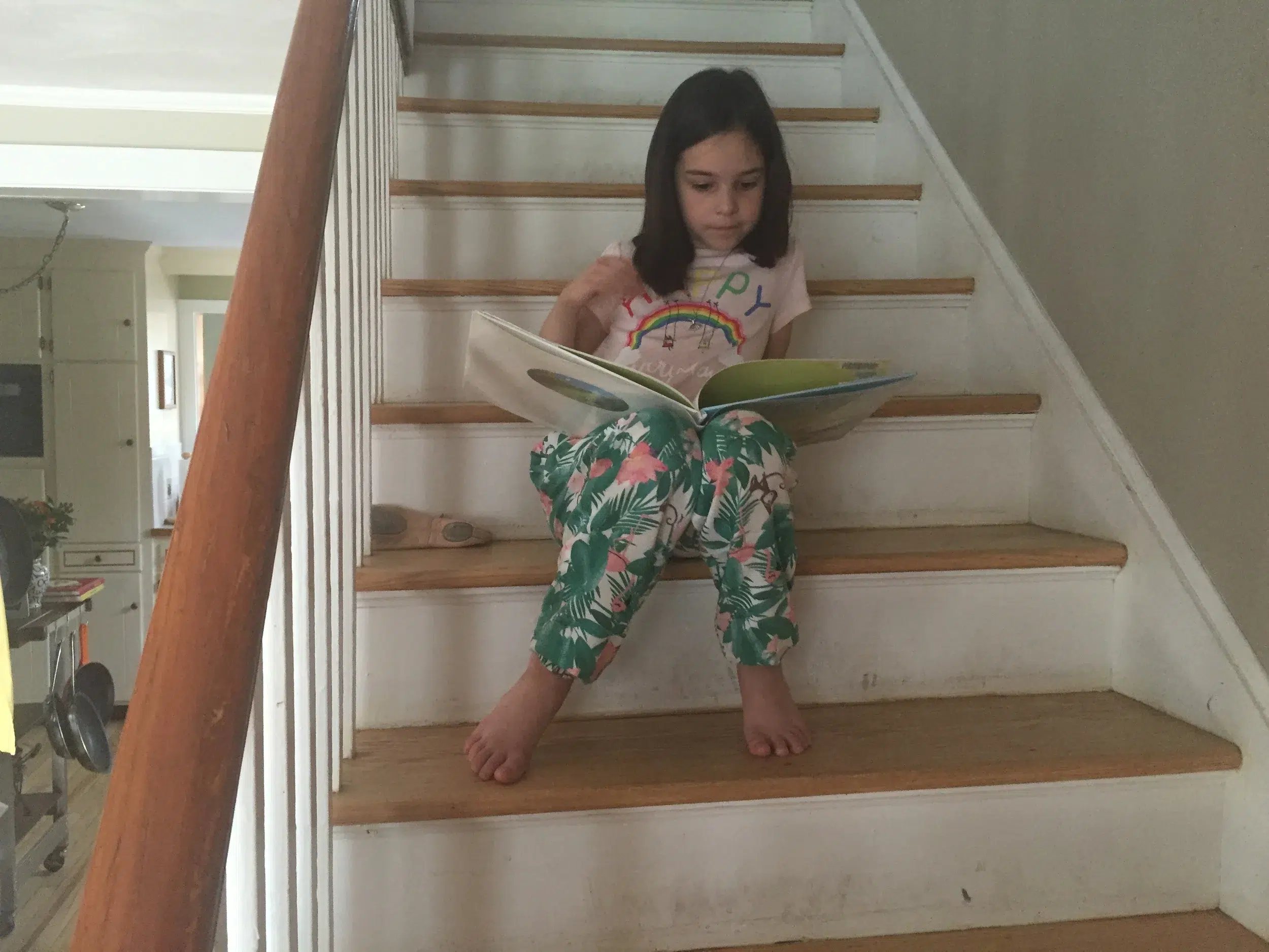 Read more about the article In need of a little quiet