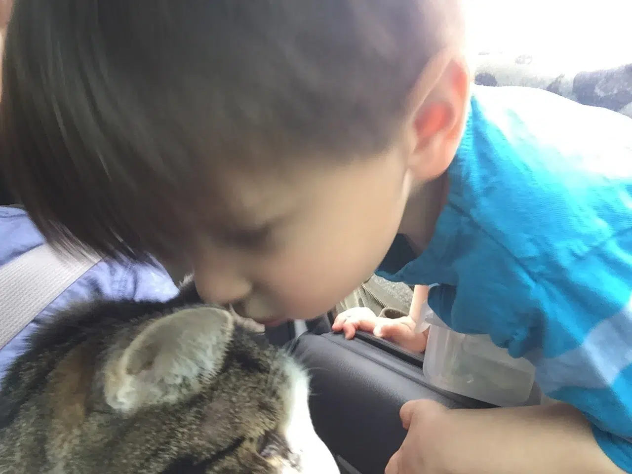 Read more about the article My son has become a non-stop death machine.