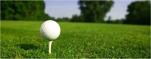 Read more about the article 7 much-needed rules for golf according to me (which makes them absolutely correct)