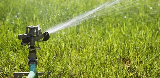 Read more about the article Unfair assumption #23: People who water their lawns themselves are aggressively anti-efficient and supremely uninteresting