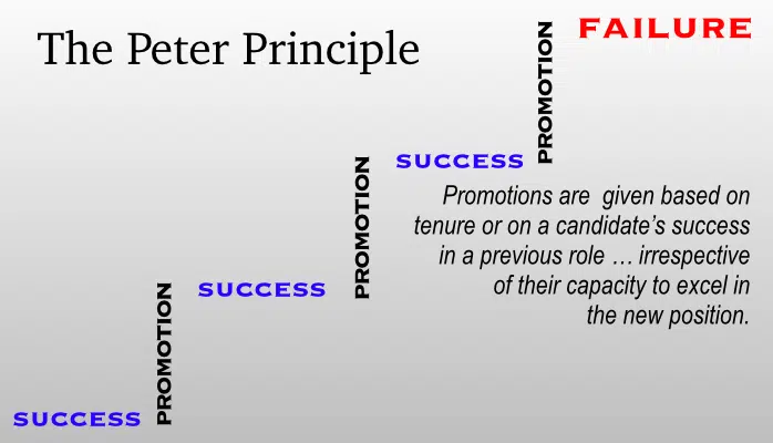 Read more about the article The Peter Principle: Understand it.