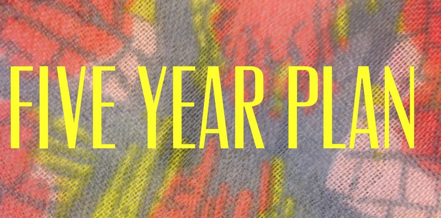 Read more about the article Five year plans are about five years too long