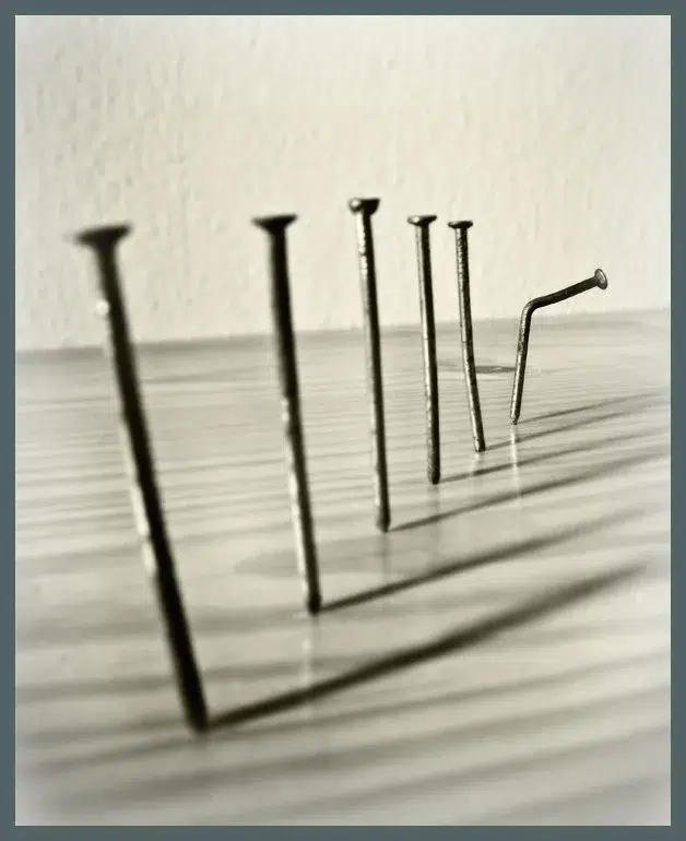 Read more about the article Shortcomings and Flaws: 2016