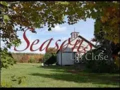 Read more about the article My new TV gig