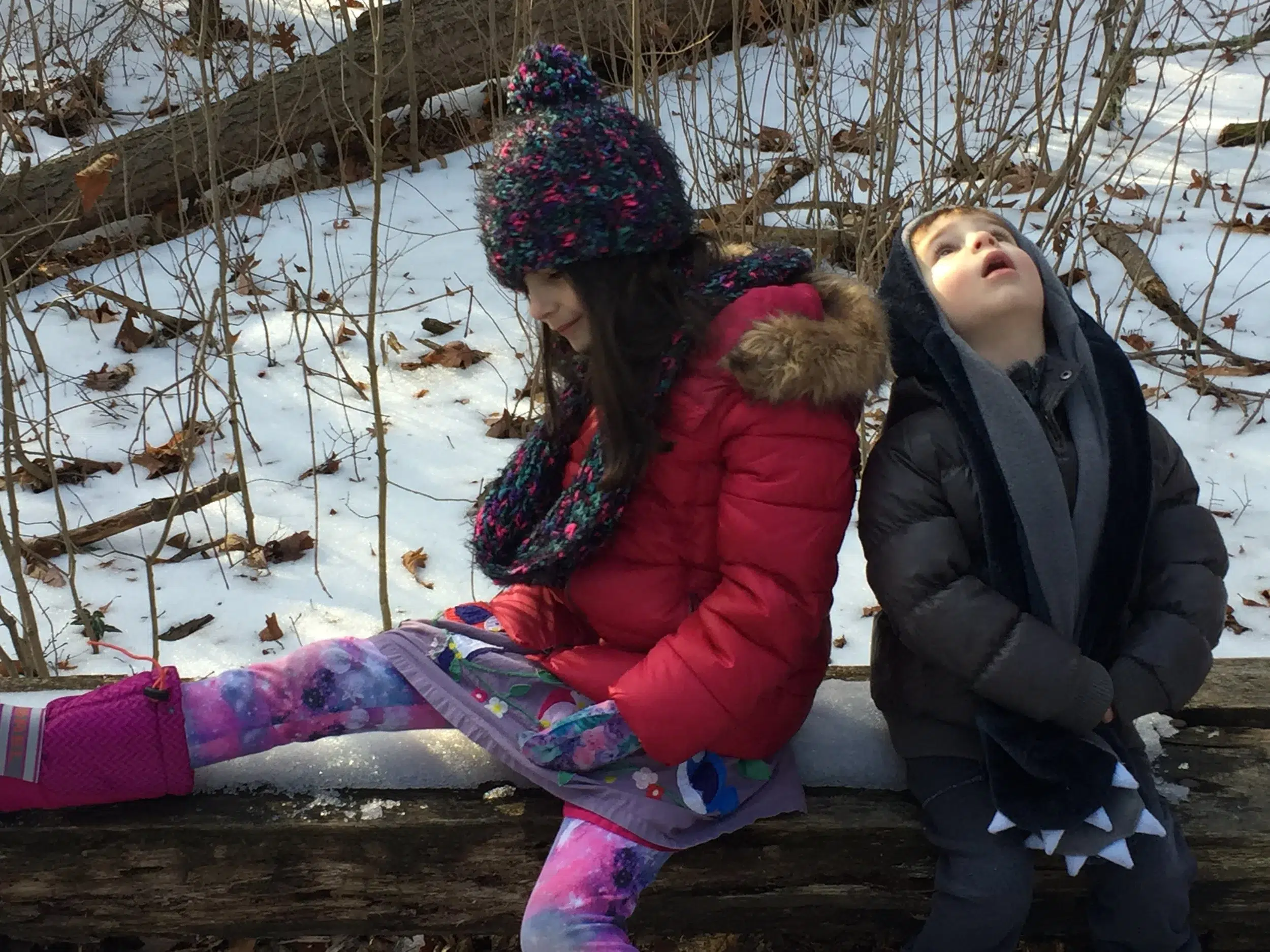 Read more about the article Brother and Sister Day