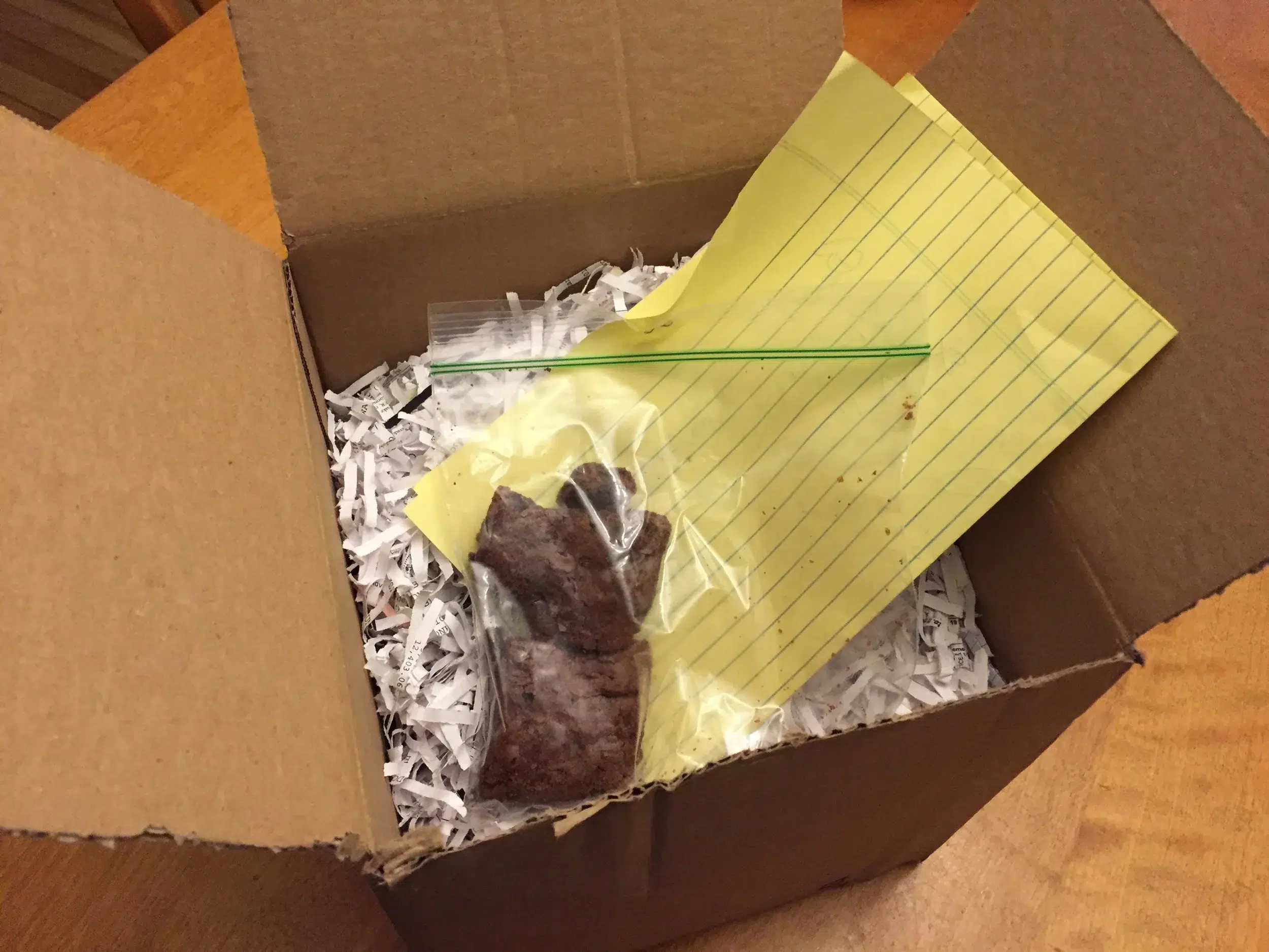 Read more about the article Victory brownies and the definition of fandom and friendship