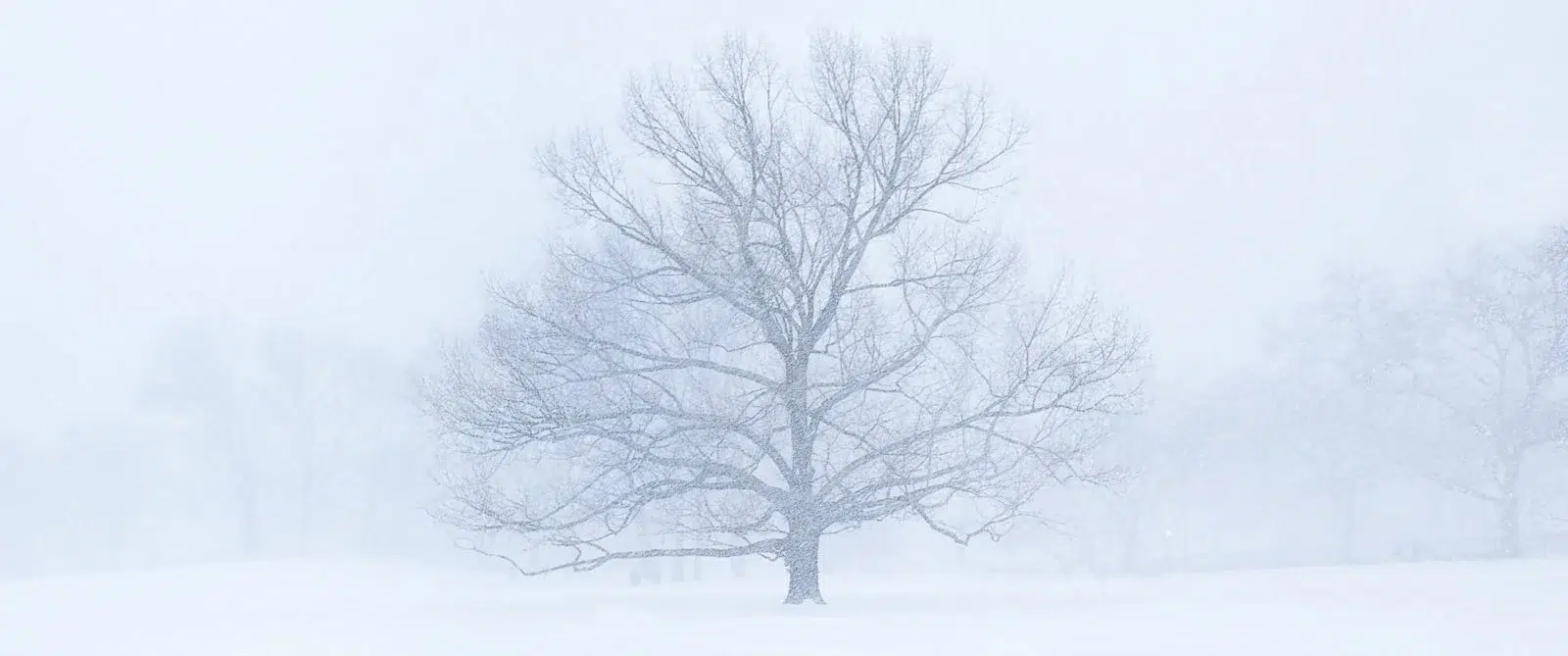 Read more about the article It is only snow and nothing more.