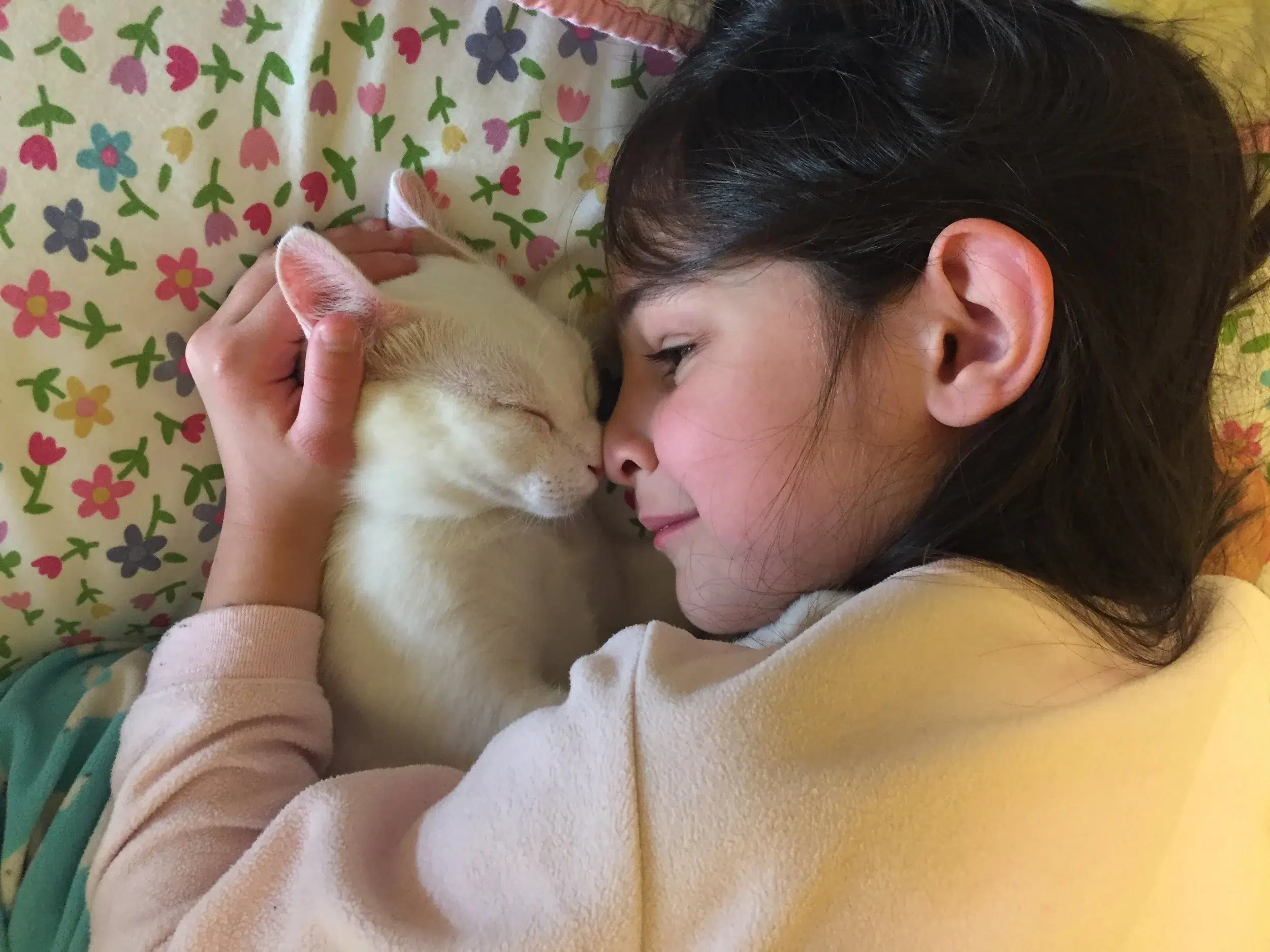 Read more about the article Our cats are not perfect.