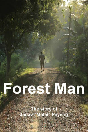 Read more about the article Forest Man is the best man