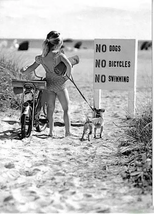 Read more about the article The ineffectiveness of signage