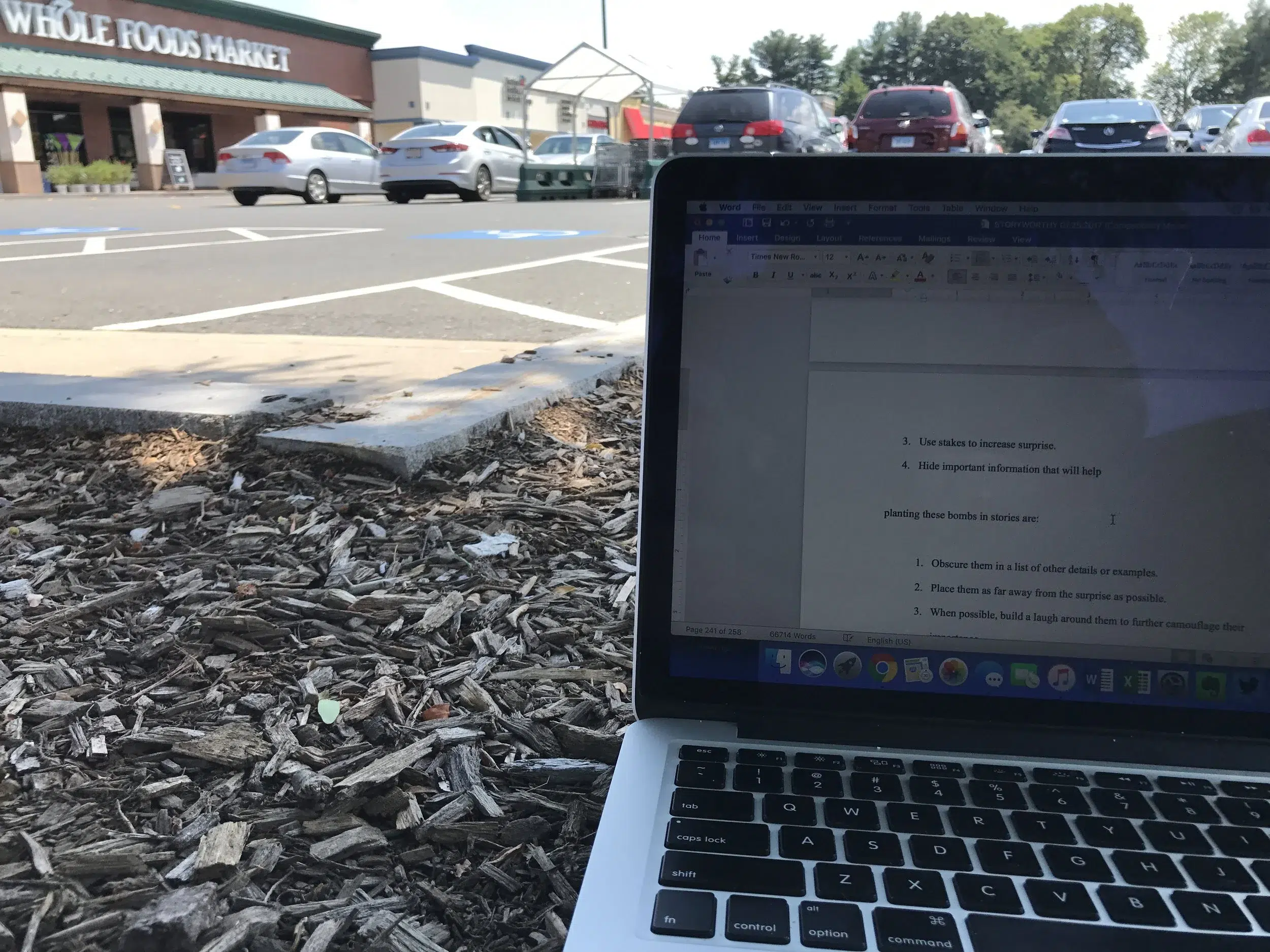Read more about the article I wrote on an island. Under a tree. In the middle of a parking lot.