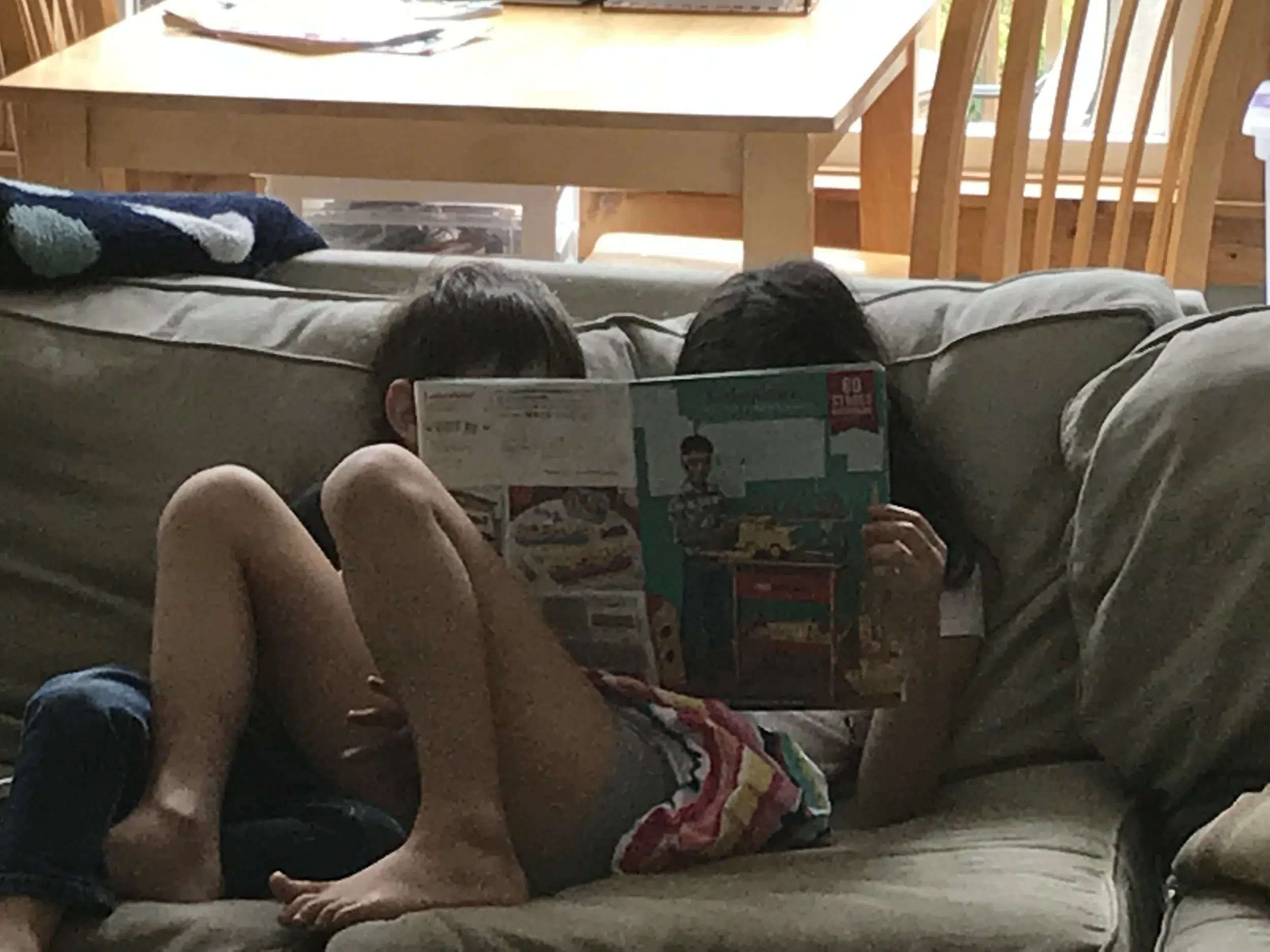 Read more about the article Sibling love is a strange and varied thing