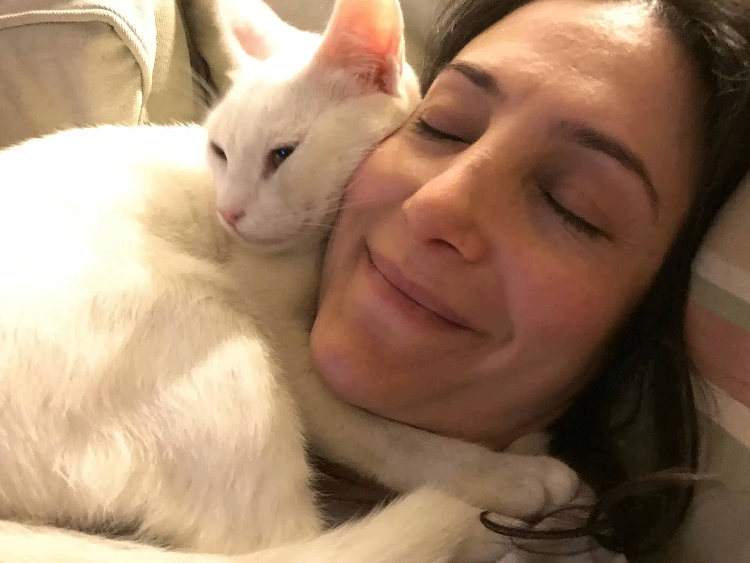 Read more about the article One of our cats is much better than the other.