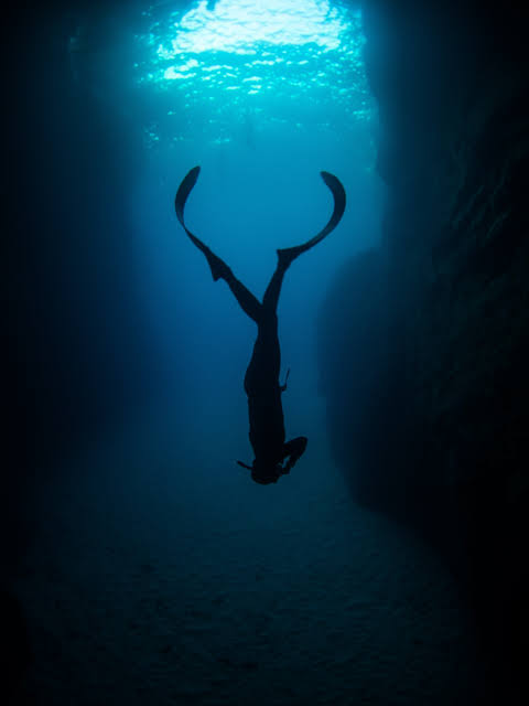 Read more about the article Free Dive