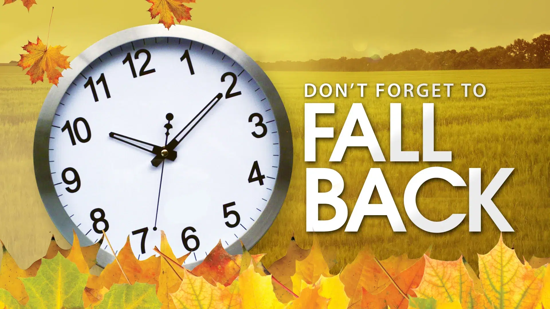 Read more about the article Daylight Saving should be celebrated (or eliminated)