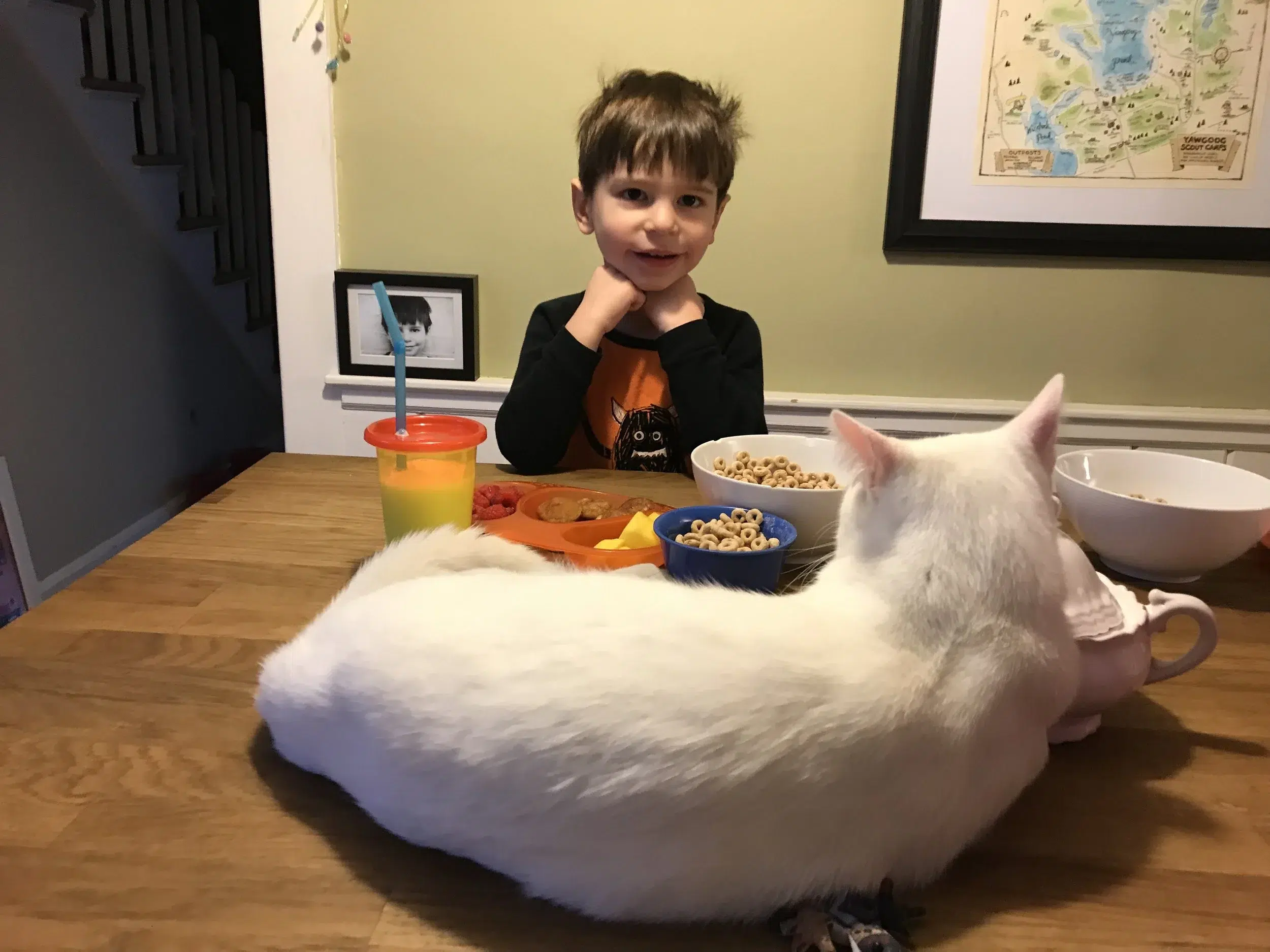 Read more about the article Bad boy and breakfast companion
