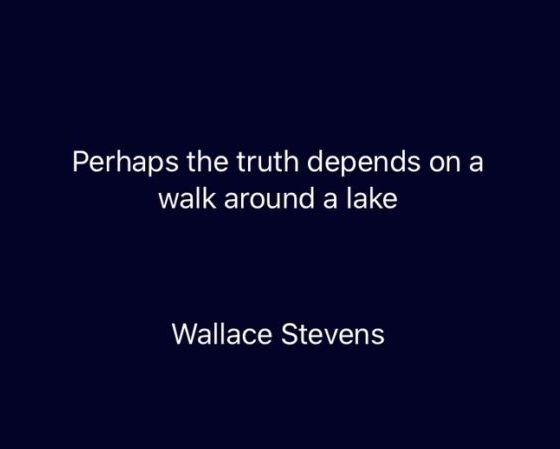 Read more about the article Take a walk before killing someone