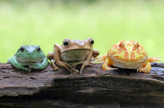 Read more about the article Swimming lessons from an unlikely source