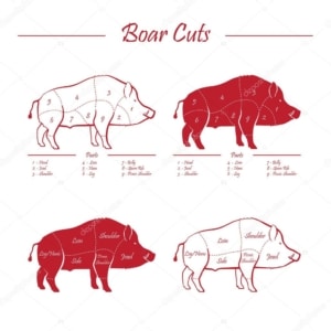 Read more about the article Boar no good