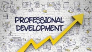 Read more about the article News flash: Professional development can be both professional and developmental