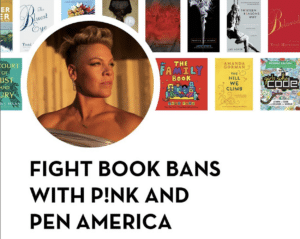 Read more about the article Florida and Texas banning books is a stupid and wonderful thing