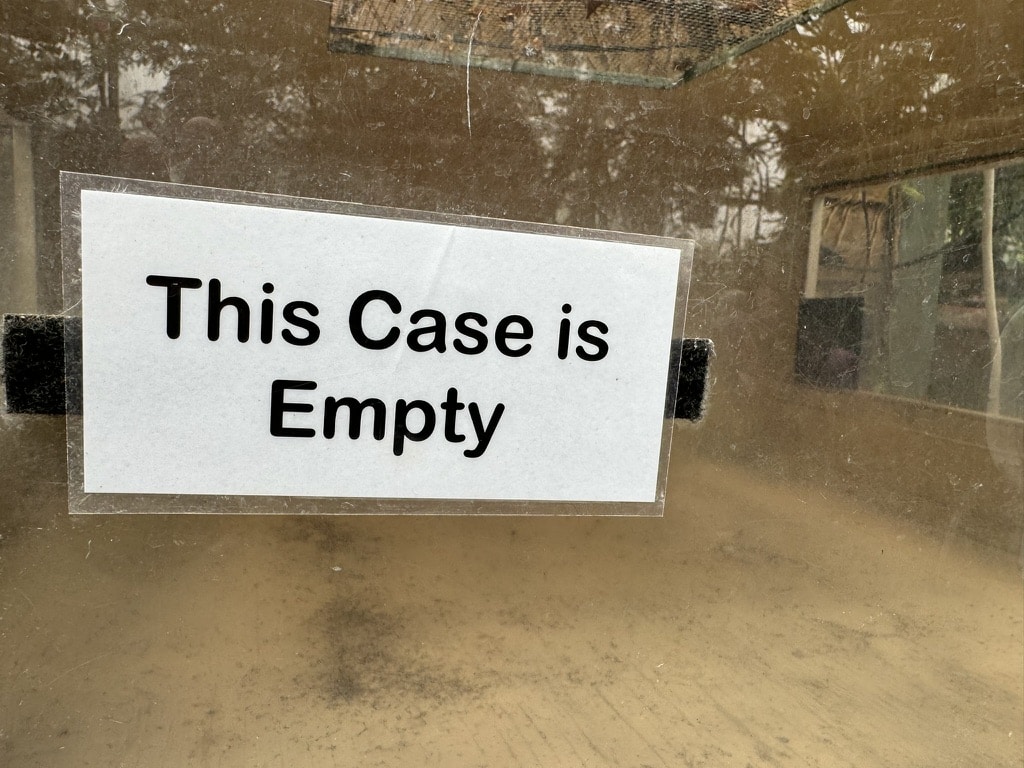 Read more about the article Empty case?